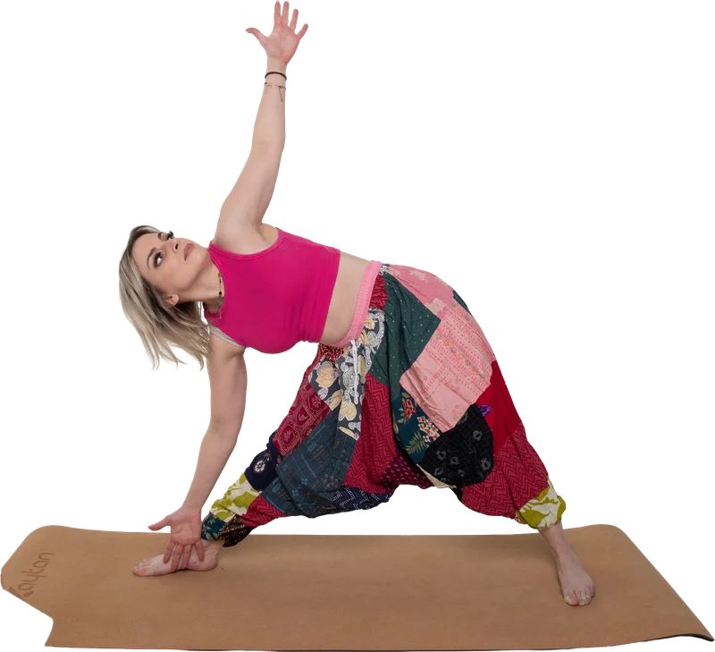 Joga (Hatha / Vinyasa)